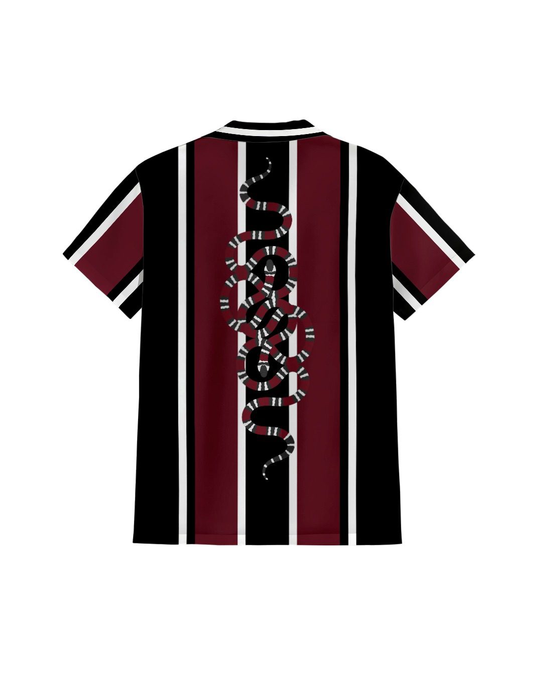 Coral Snake - Image 2